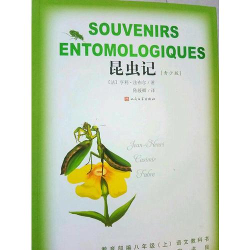 昆虫记（青少版）