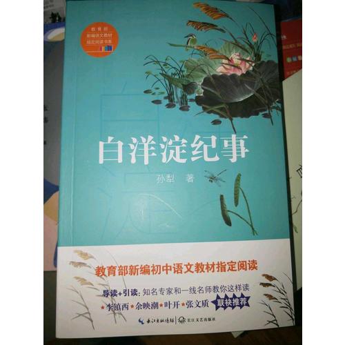 白洋淀纪事（中学生定制版）部编教材七年级上指定阅读书系