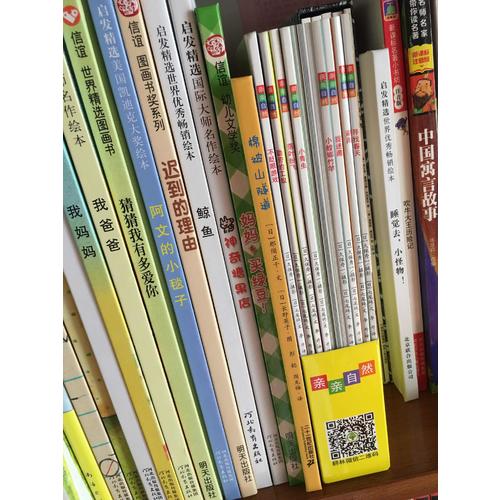 兔子坡·彩图注音版