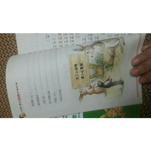 兔子坡·彩图注音版