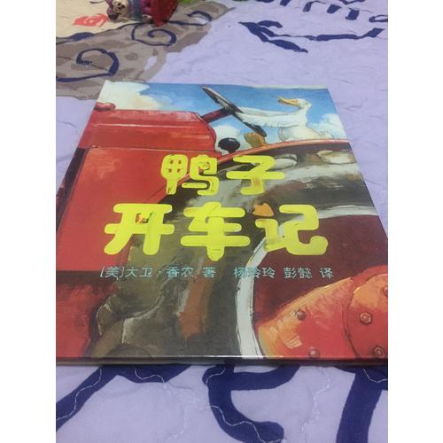 鸭子开车记
