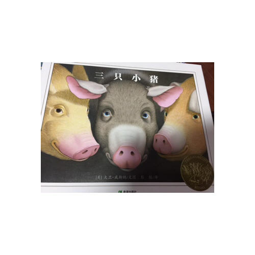 三只小猪
