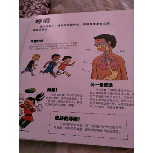 牵着蜗牛去散步