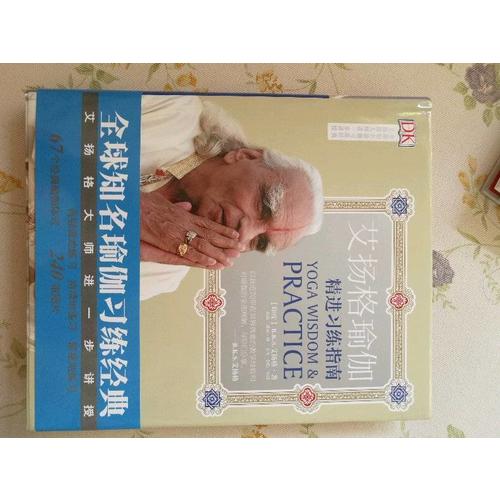 艾扬格瑜伽：精进习练指南（再版）