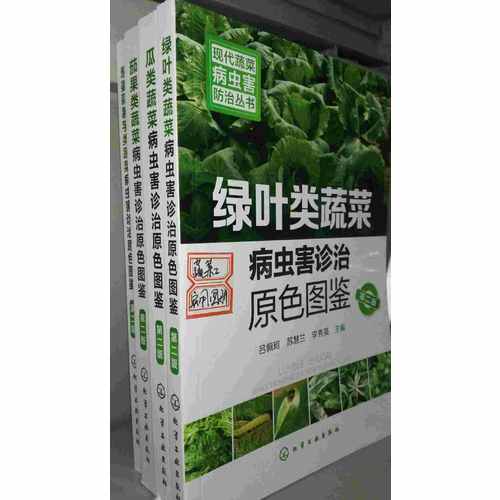 现代蔬菜病虫害防治丛书·绿叶类蔬菜病虫害诊治原色图鉴（第二版）