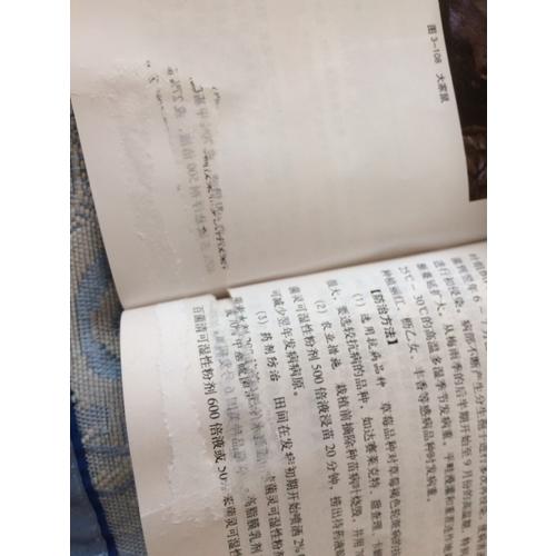 草莓病虫害诊断与防治原色图谱