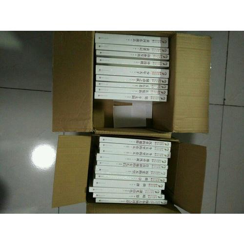 茅盾文学奖获奖作品全集：少年天子