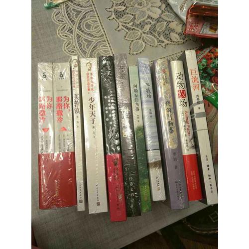 茅盾文学奖获奖作品全集：少年天子