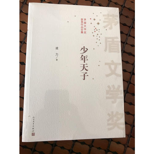 茅盾文学奖获奖作品全集：少年天子