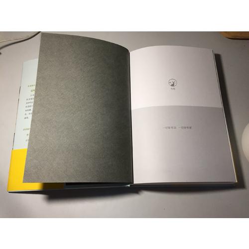 与手枪的不幸相遇