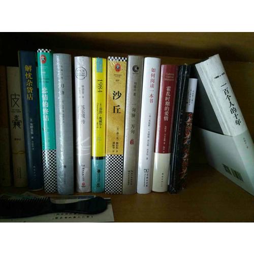 一百个人的十年（精装本）