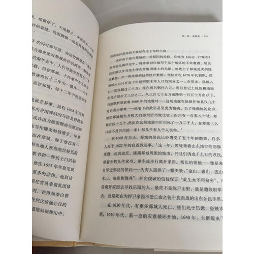 王氏之死：大历史背后的小人物命运（史景迁作品）（精装）