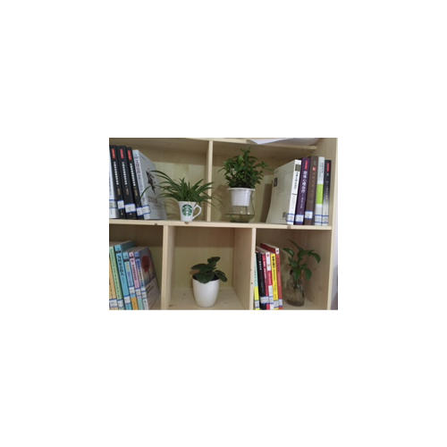 焦点解决短期心理咨询和治疗技术