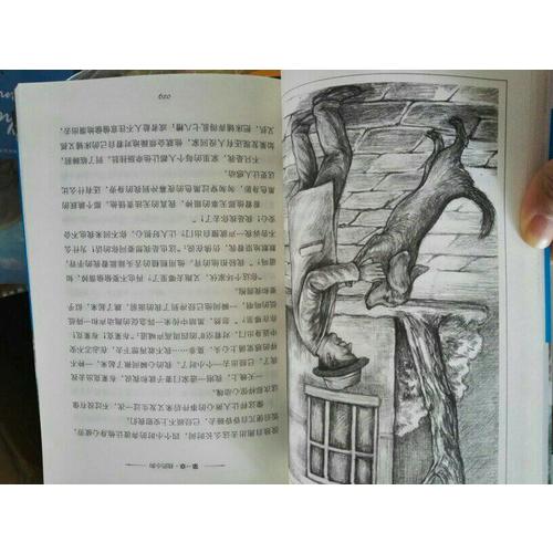 诺奖少年版（全30册）