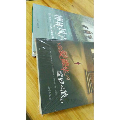 爱德华的奇妙之旅（国际大奖小说）