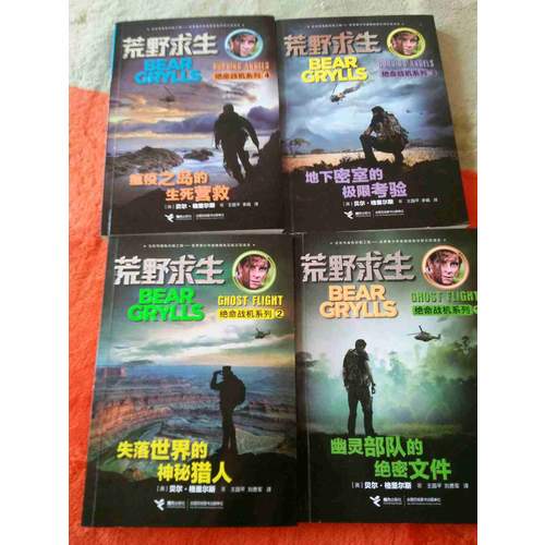 荒野求生绝命战机系列