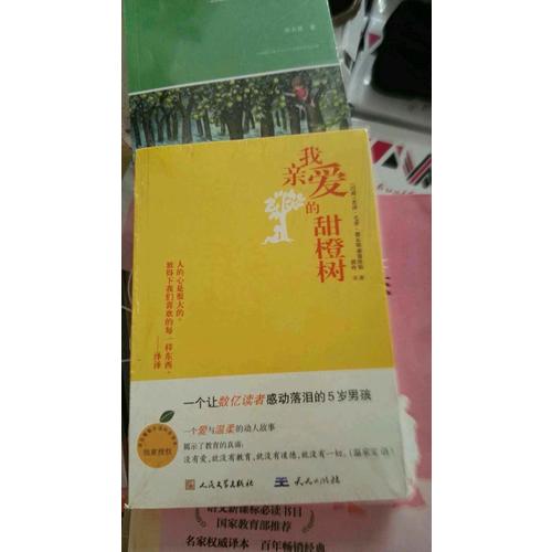 我亲爱的甜橙树（近期版）