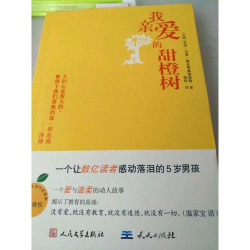 我亲爱的甜橙树（近期版）