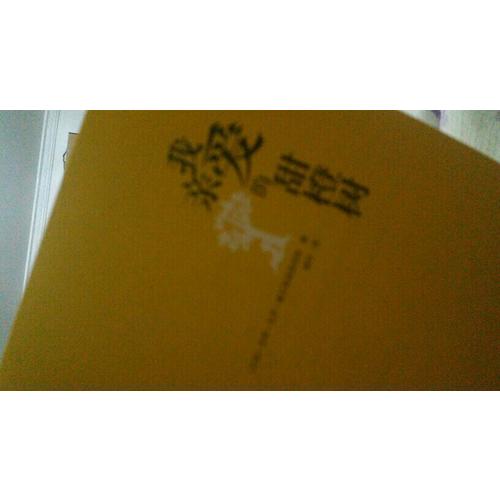 我亲爱的甜橙树（近期版）