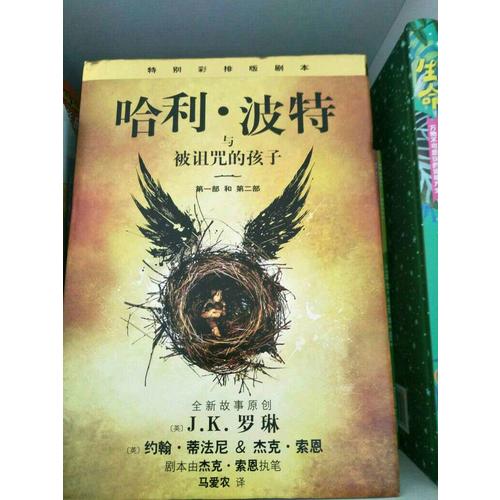 哈利·波特与被诅咒的孩子（哈利波特8）