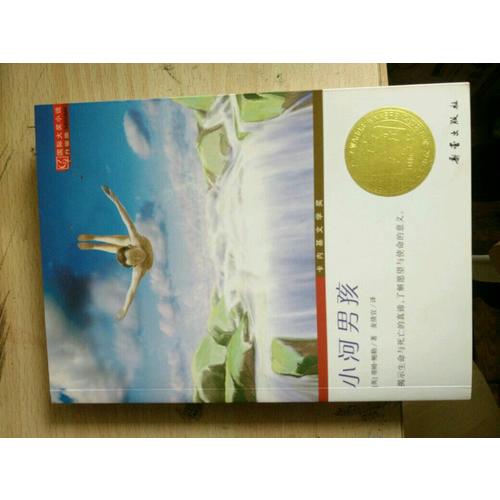 小河男孩（国际大奖小说成长版）