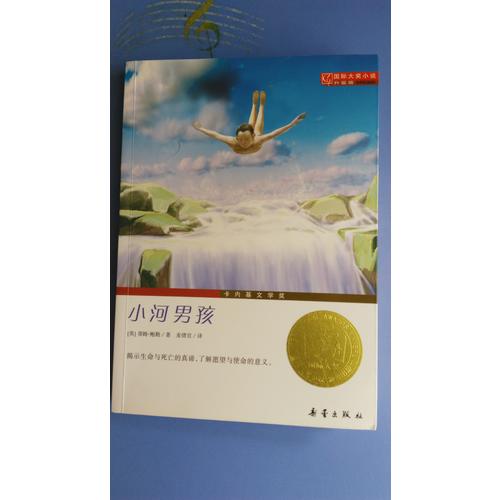 小河男孩（国际大奖小说成长版）