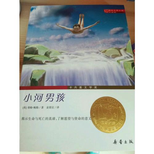小河男孩（国际大奖小说成长版）