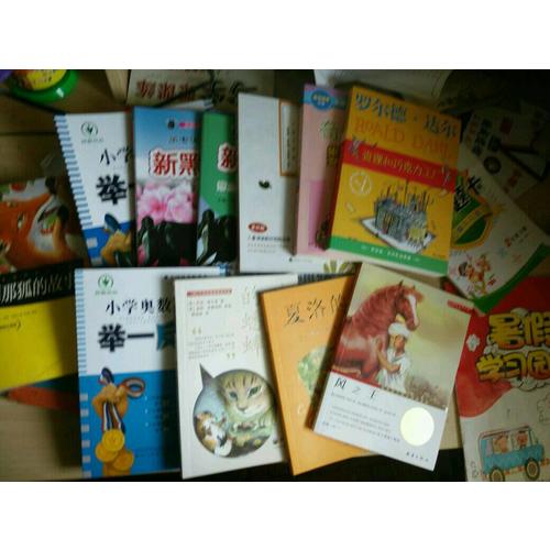 风之王（国际大奖小说成长版）