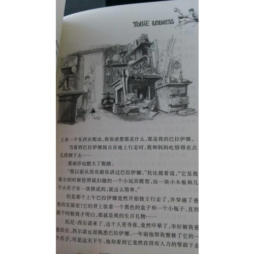 风之王（国际大奖小说成长版）