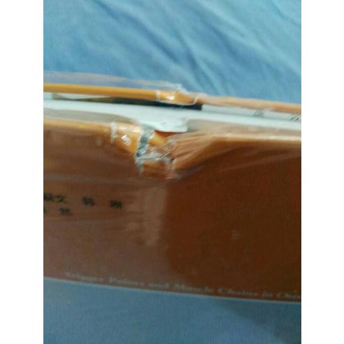 镇痛注射技术图解（第4版）