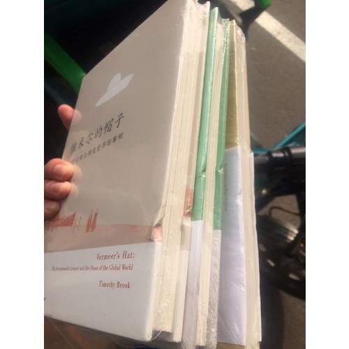 维米尔的帽子: 17世纪和全球化世界的黎明