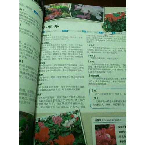 家庭养花一本通