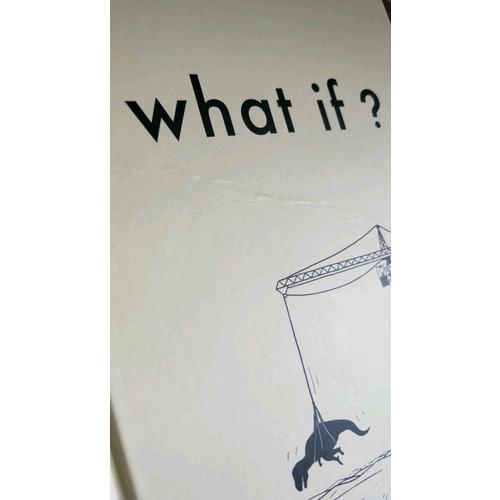 what if那些古怪又让人忧心的问题（珍藏版）