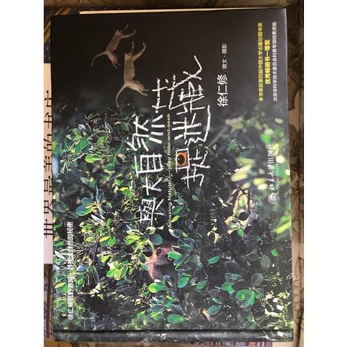 与大自然捉迷藏