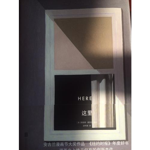 这里（精装）:Here安古兰漫画节大奖作品