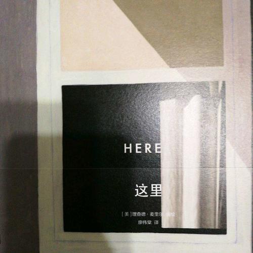 这里（精装）:Here安古兰漫画节大奖作品