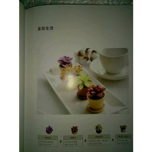 原来是黏土：丸子的彩色多肉植物日记