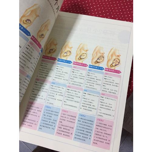 宝宝圣经：怀孕 分娩 育婴图解大百科