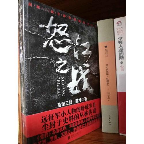 怒江之战（全集新版）