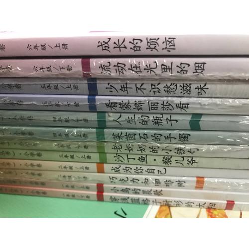 语文素养读本 小学卷2 穿浅蓝格子衬衫的太阳