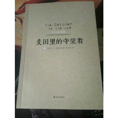 麦田里的守望者（2014版）