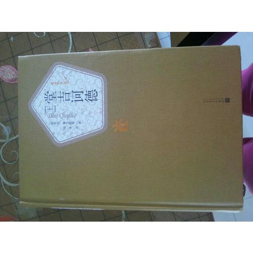 堂吉诃德（上下）