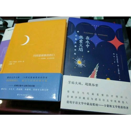 月亮是夜晚的伤口