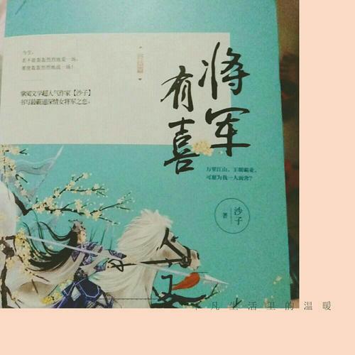 将军有喜·终结篇 （上下）