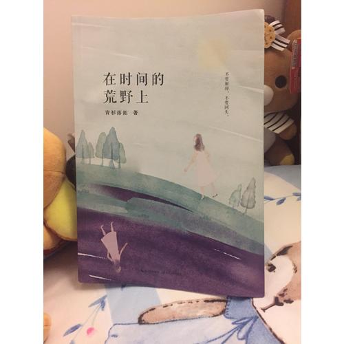 在时间的荒野上