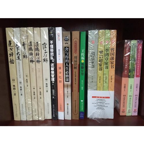 王传福的创新智慧