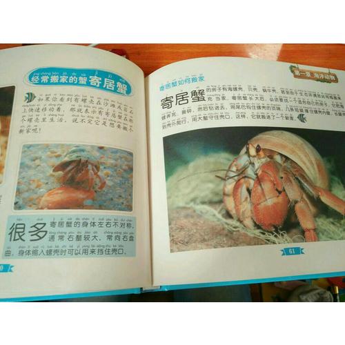 童书坊：海洋探索