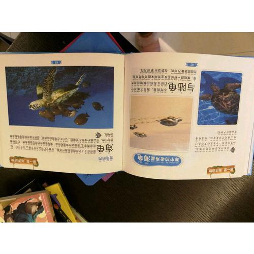 童书坊：海洋探索