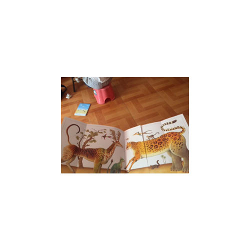 我的艺术系列（共2册）