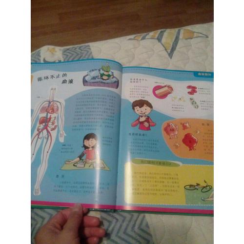 人体·我们身体的奥秘